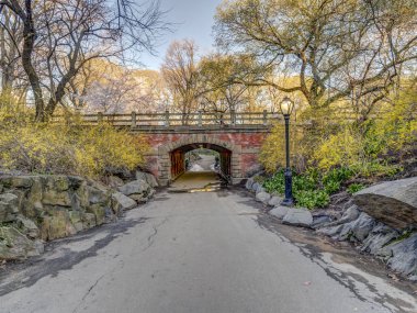 Central Park, Manhattan, New York Baharda
