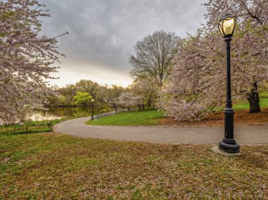 Central Park, Manhattan, New York Baharda