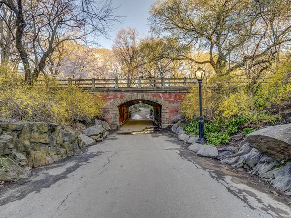 Central Park Manhattan New York Printemps — Photo