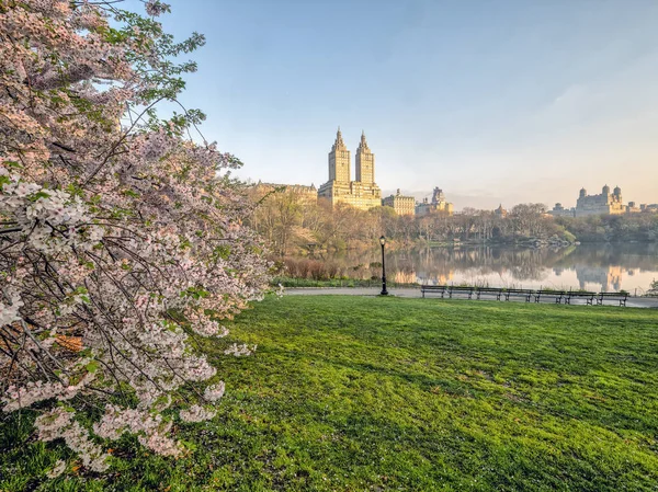 Central Park Manhattan New York City Het Voorjaar — Stockfoto