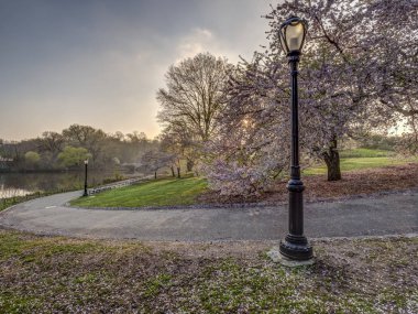 Central Park, Manhattan, New York Baharda
