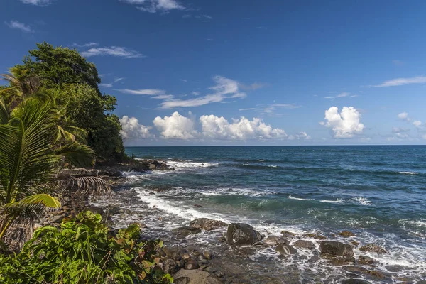 Côte Île Domica Été — Photo