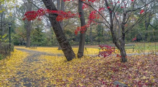 Central Park Manhattan New York City Herbst — Stockfoto