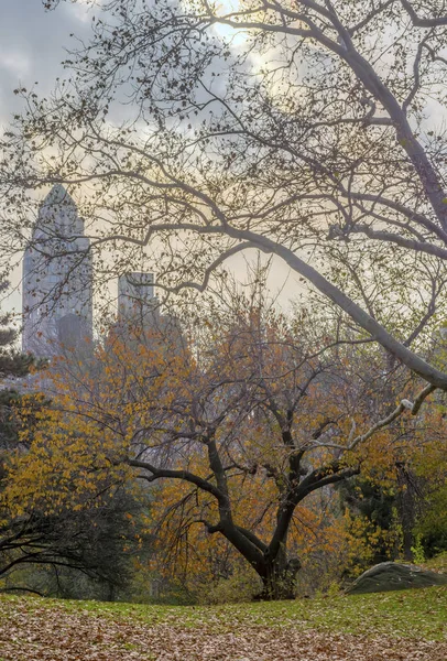 Central Park Manhattan Nueva York Otoño — Foto de Stock