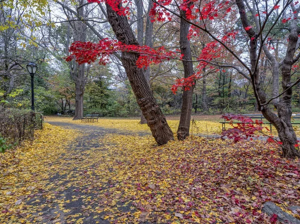 Central Park Manhattan New York City Herbst — Stockfoto