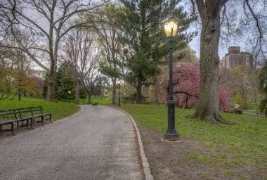 Central Park, Manhattan, New York City kiraz ağaçları ile bahar
