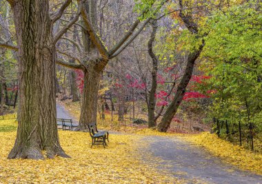 Central Park, sonbahar Manhattan, New York'ta