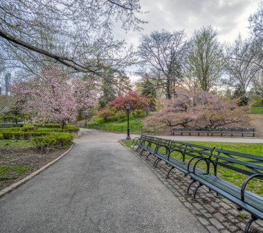 Central Park, Manhattan, New York Baharda