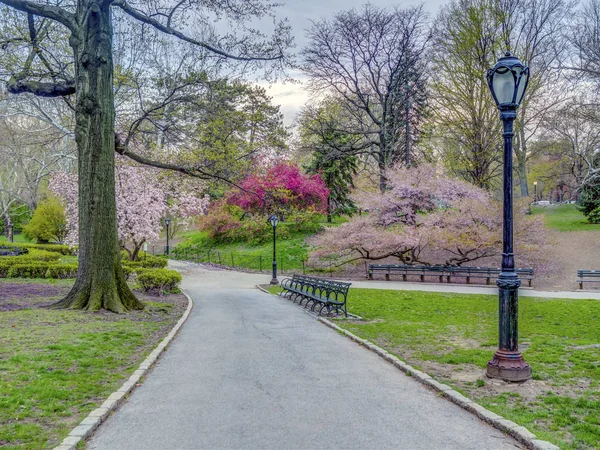 Central Park Manhattan Nueva York Primavera —  Fotos de Stock