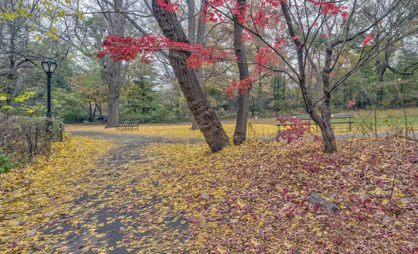 Central Park Manhattan Nueva York Otoño —  Fotos de Stock