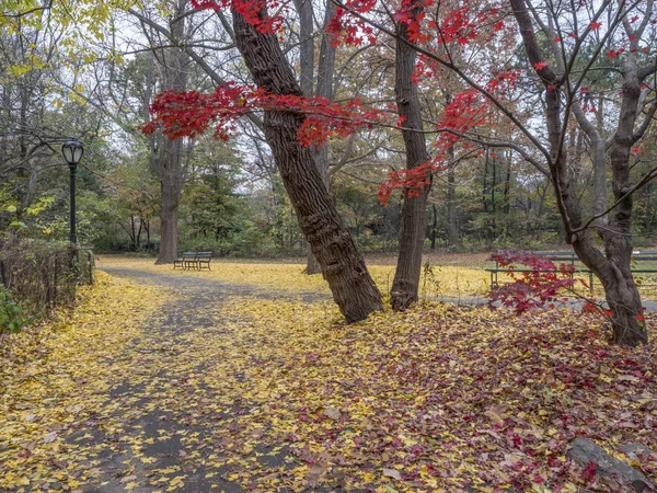 Central Park Manhattan New York City Jesienią — Zdjęcie stockowe