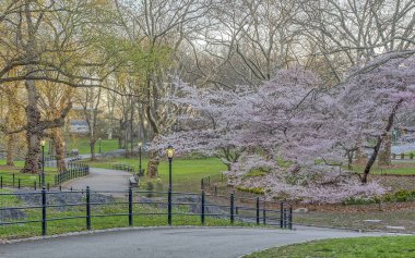 Central Park, Manhattan, New York Baharda