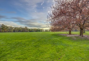 Central Park, Manhattan, New York Baharda