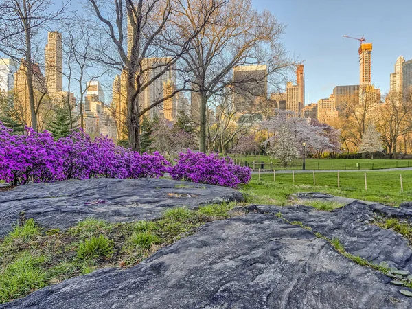 Central Park Manhattan Nueva York Primavera —  Fotos de Stock