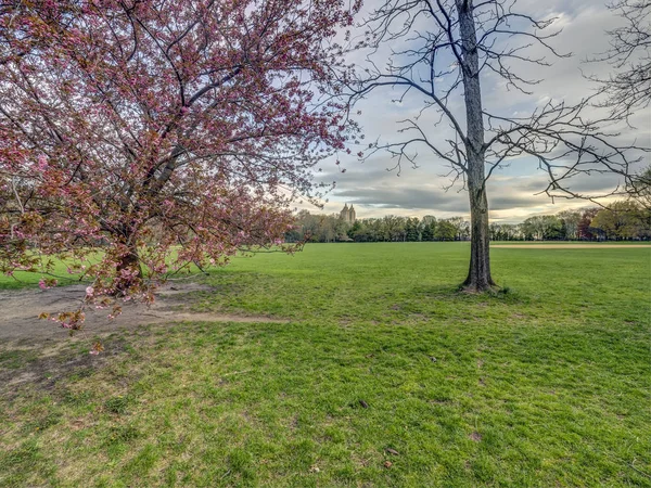 Central Park Manhattan New York Primavera — Foto Stock