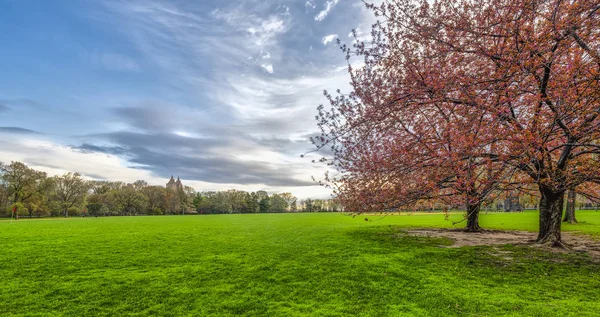 Central Park Manhattan Nowy Jork Wiosną — Zdjęcie stockowe