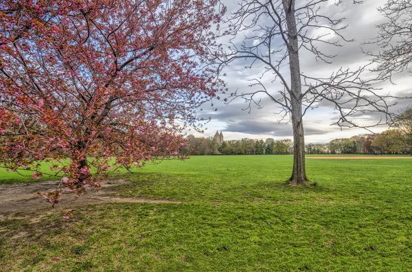 Central Park Manhattan New York City Våren — Stockfoto