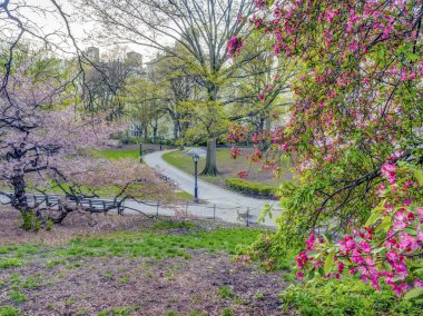Central Park, Manhattan, New York Baharda