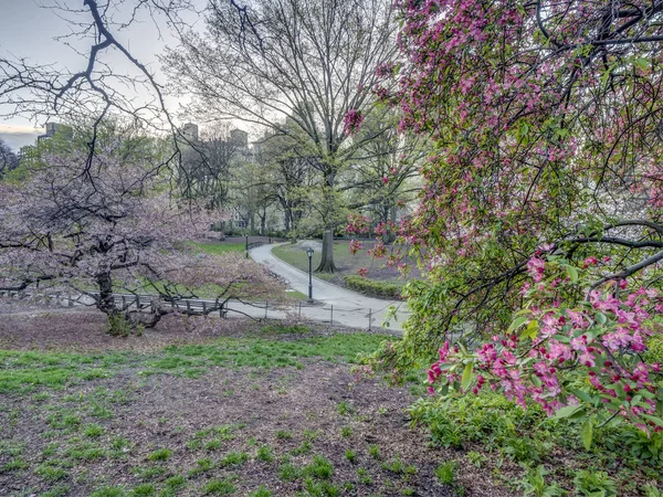 Central Park Manhattan Nowy Jork Wiosną — Zdjęcie stockowe