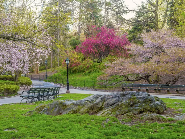 Central Park Manhattan Nueva York Primavera — Foto de Stock