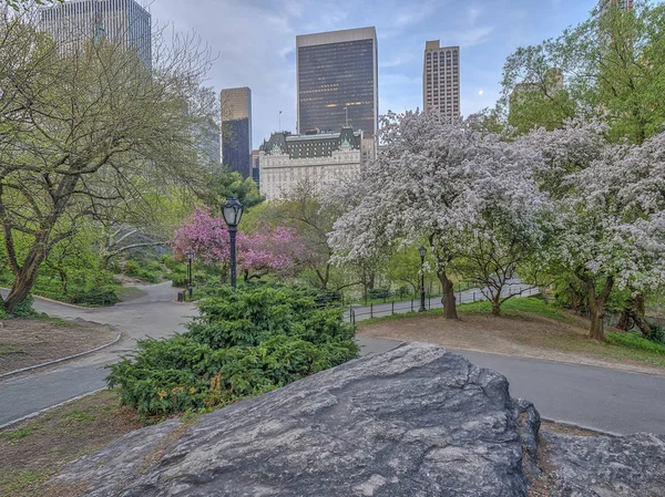 Central Park Μανχάταν Νέα Υόρκη Την Άνοιξη — Φωτογραφία Αρχείου