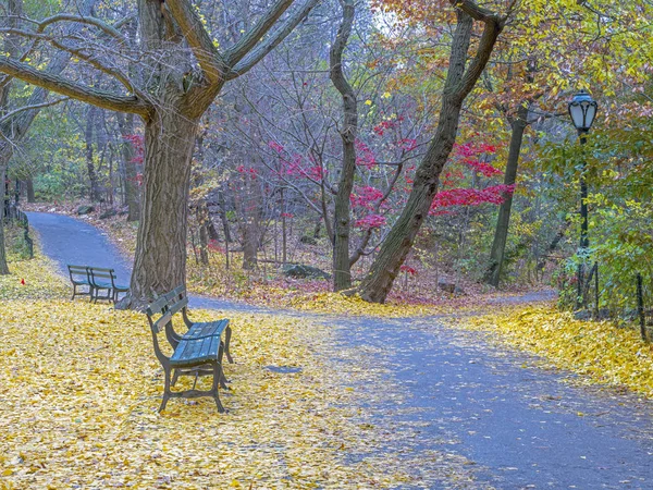 Central Park Manhattan New York Automne — Photo