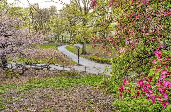 Central Park Manhattan New York City Het Voorjaar — Stockfoto