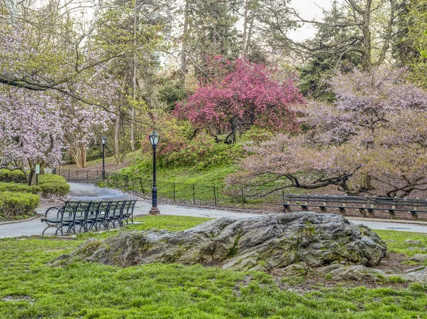 Central Park Manhattan New York City Frühling — Stockfoto