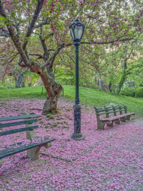 Central Park, Manhattan, New York Baharda