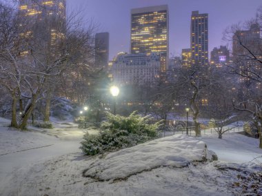 Central Park, Manhattan, New York City kış