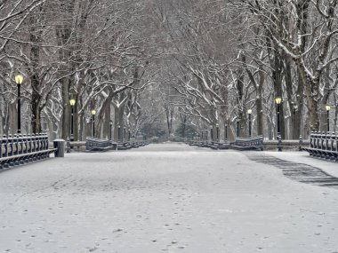 Central Park, Manhattan, New York City kış