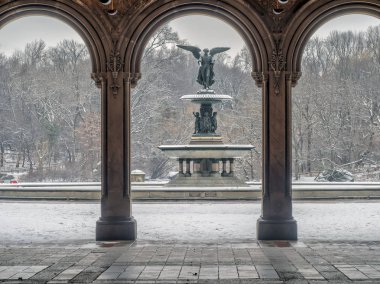 Central Park, Manhattan, New York City kış