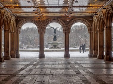 Central Park, Manhattan, New York City kış