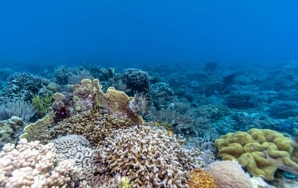 Vattnet Lembeh Sundet Sulawesi Indonesien — Stockfoto