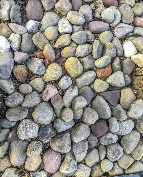 Organized Pepples Rocks Organized Path — Stock Photo, Image
