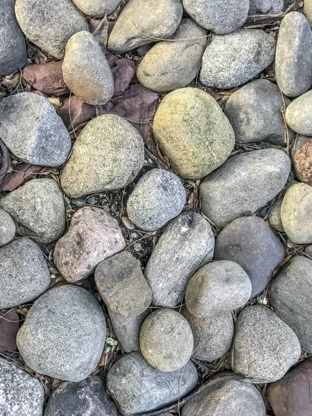 Organized Pepples Rocks Organized Path — Stock Photo, Image