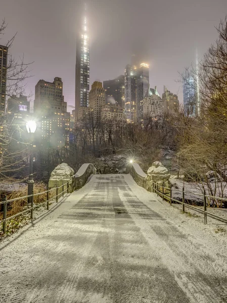 Central Park Manhattan New York City Vintern — Stockfoto