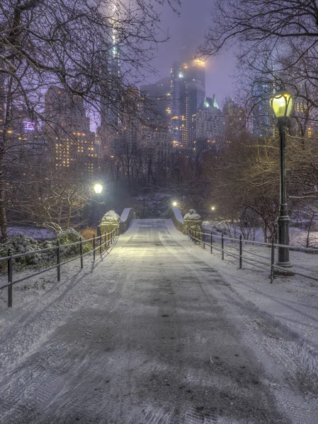 Central Park Manhattan New York Hiver — Photo