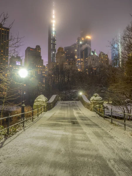 Central Park Manhattan New York City Kış — Stok fotoğraf