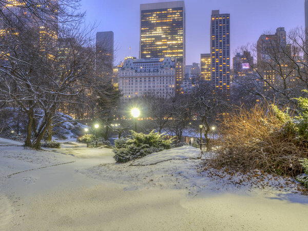 Central Park, Manhattan, New York City in winter