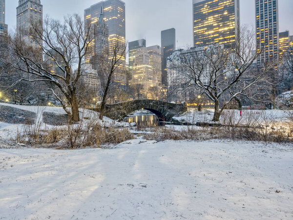 Central Park, Manhattan, New York City in winter