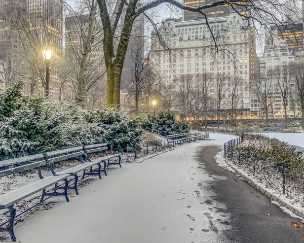Central Park Manhattan New York City Vintern — Stockfoto