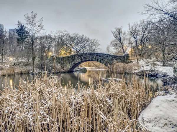 Central Park Manhattan New York City Kış — Stok fotoğraf