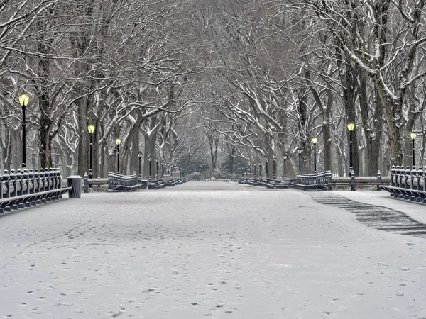 Central Park Manhattan New York City Zimě — Stock fotografie