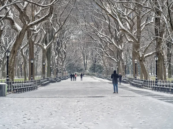 Central Park Manhattan Nueva York Invierno — Foto de Stock