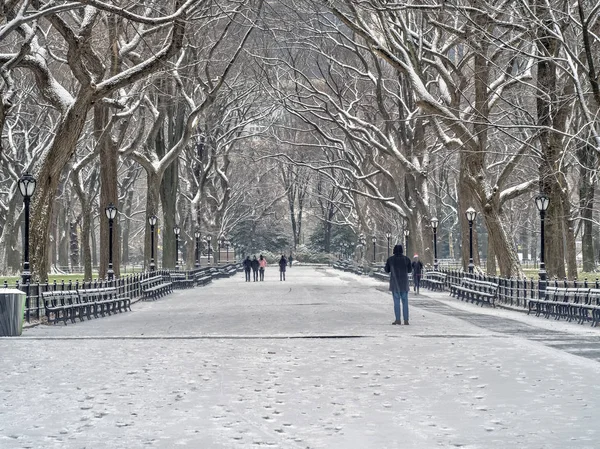 Central Park Manhattan Nueva York Invierno —  Fotos de Stock