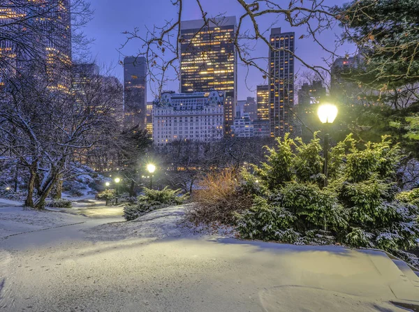 Central Park Manhattan New York City Zimie — Zdjęcie stockowe