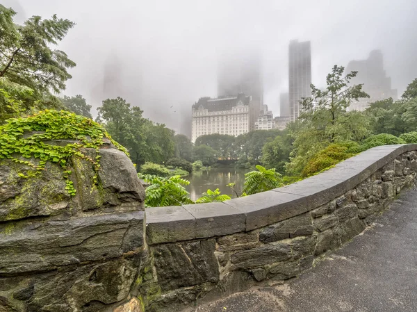 Pont Gapstow Central Park New York — Photo