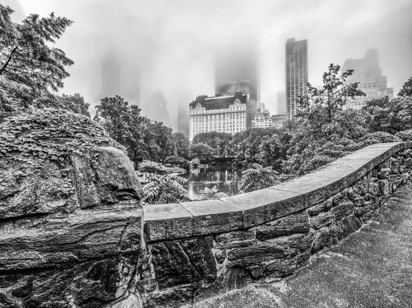 Most Gapstow Central Park Nowy Jork Nia — Zdjęcie stockowe