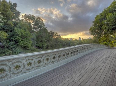 New York City, Central Park Manhattan yay Köprüsü